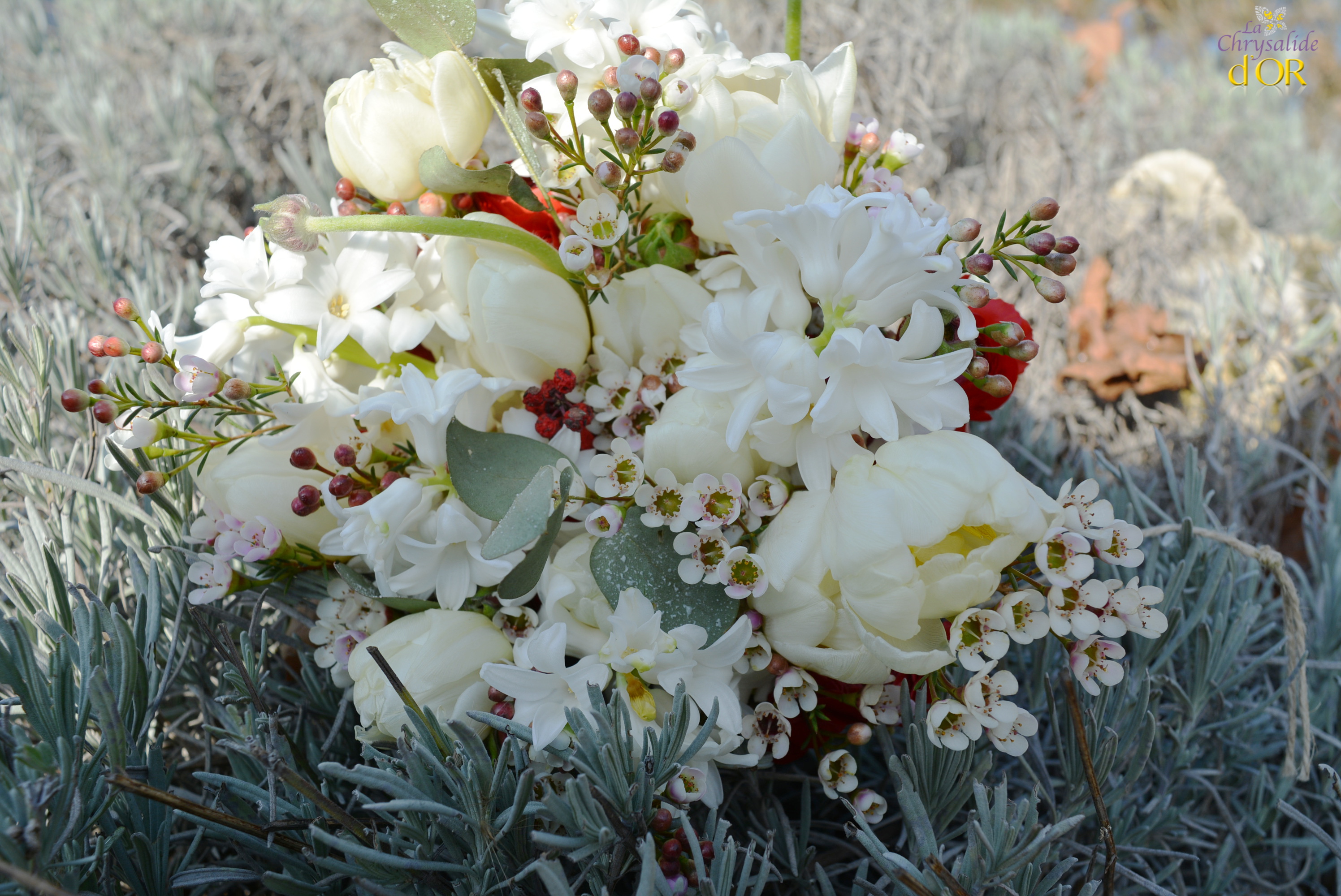 bouquet hivernal