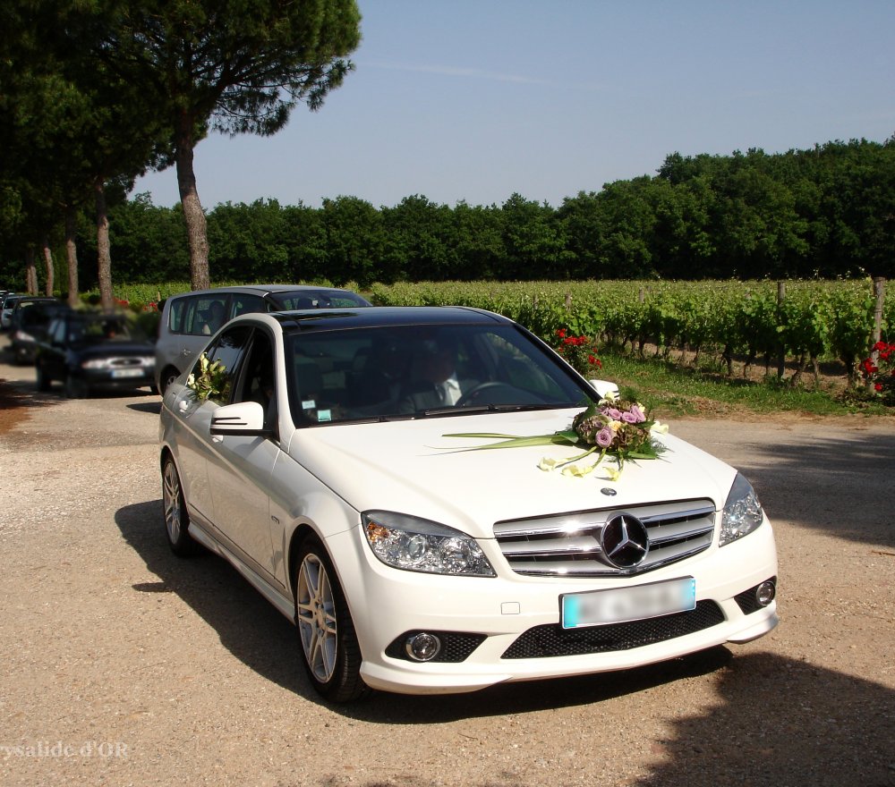 Mariage sur le thème des vignes - château Saint Louis (82)