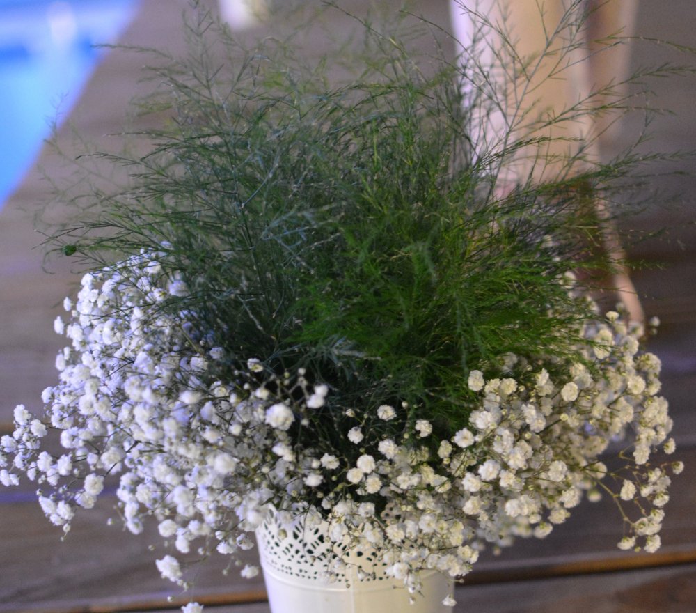 decoration-gypsophile