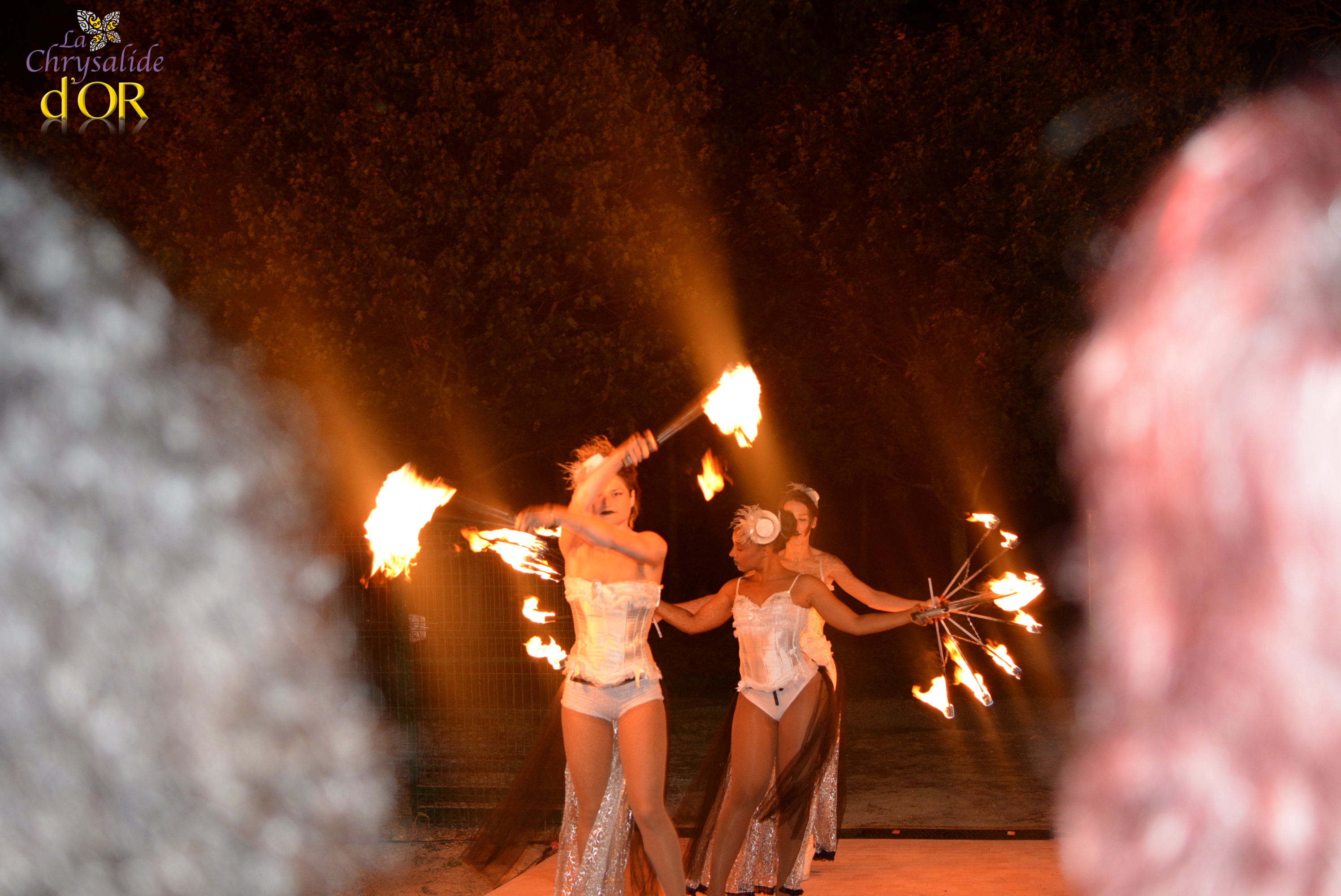 Spectacle de pyrotechnie (feux) à Toulouse