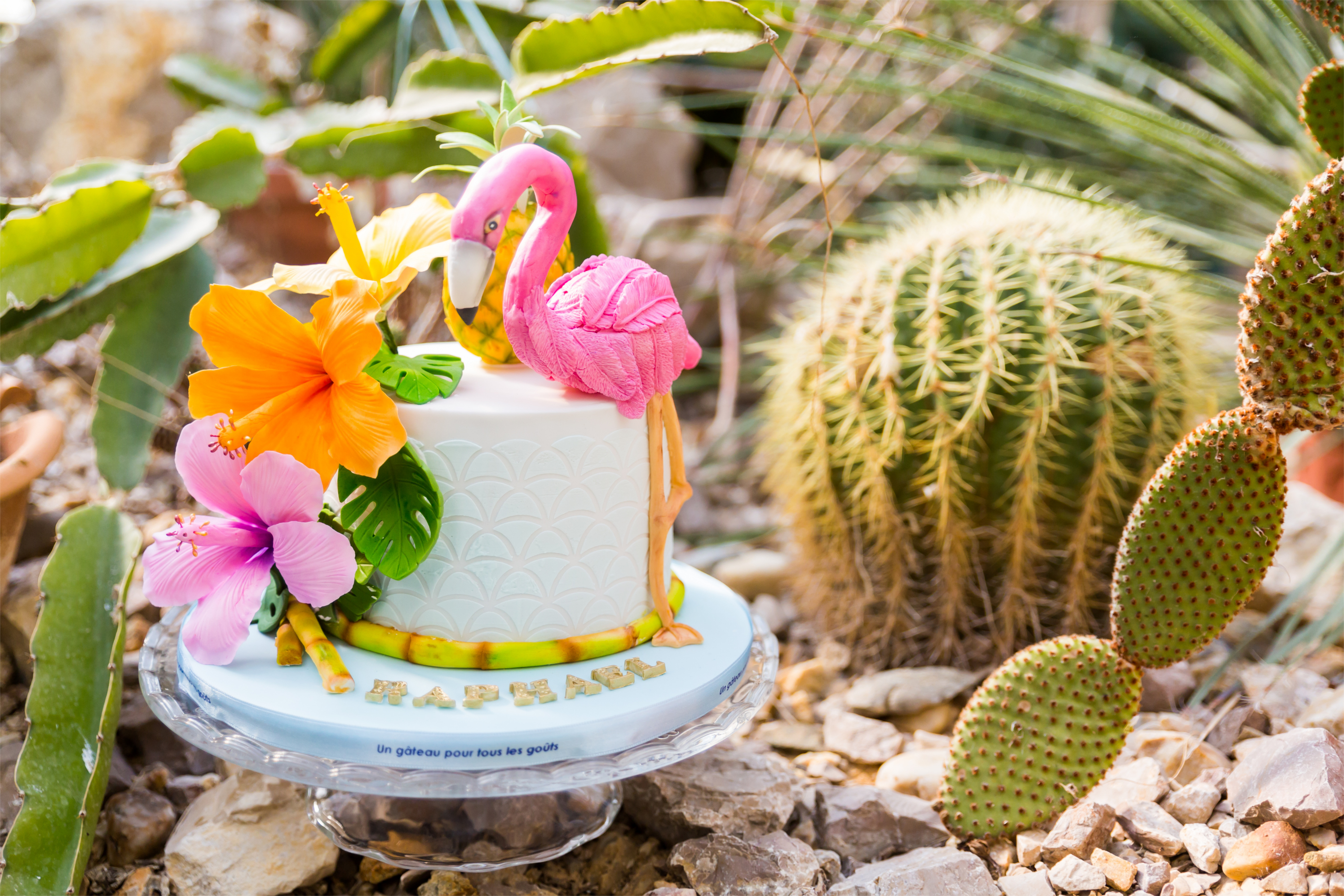 Idee Anniversaire Tropical